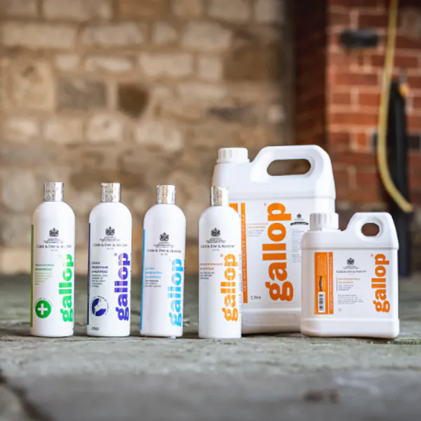 Hovedbilde Carr & Day & Martin conditioning shampoo gallop