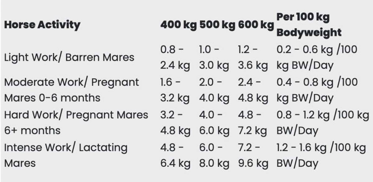 RED MILLS Horse Care Ultra Cubes - 25kg