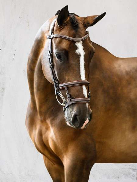 Hovedbilde PS of Sweden Paris Bridle Brown