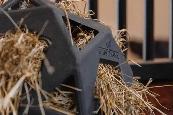 Bilde av Kentucky Relax Horse Play & Hay Ball