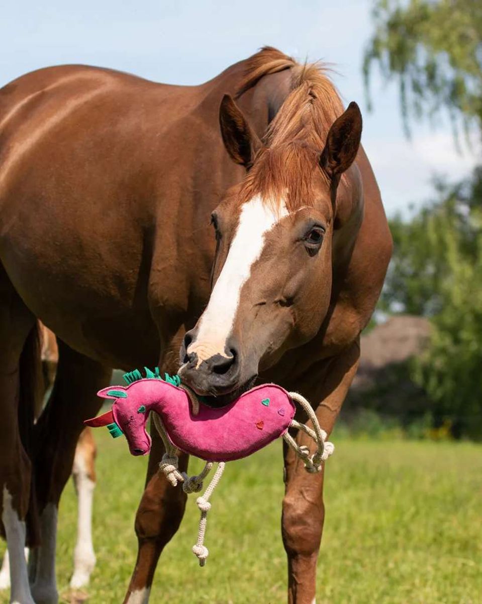 QHP Horse toy unicorn