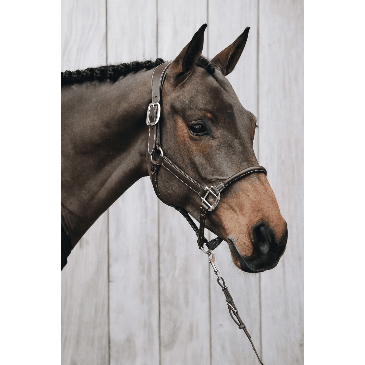 Kentucky Horsewear Anatomic Leather Halter