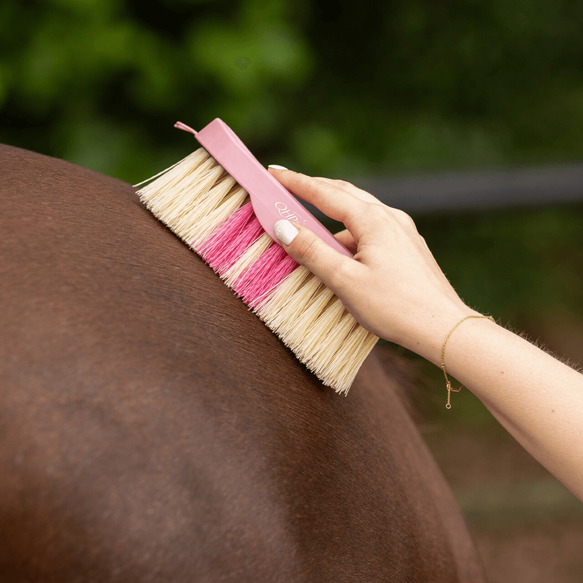 QHP Dandy brush Lyvia