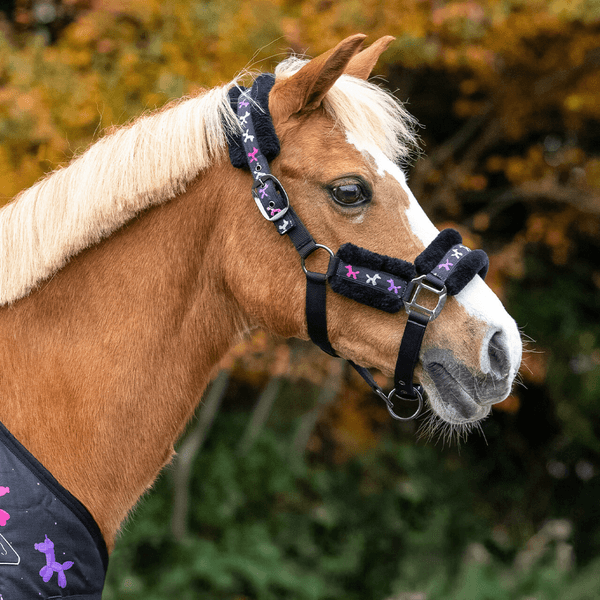 Hovedbilde QHP Head collar set Isalyn