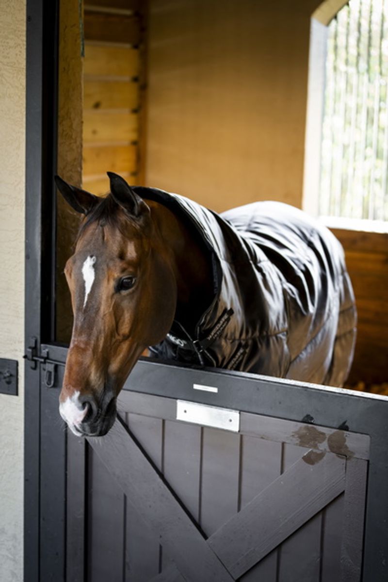 Amigo Ripstop Insulator Plus Stable 350g