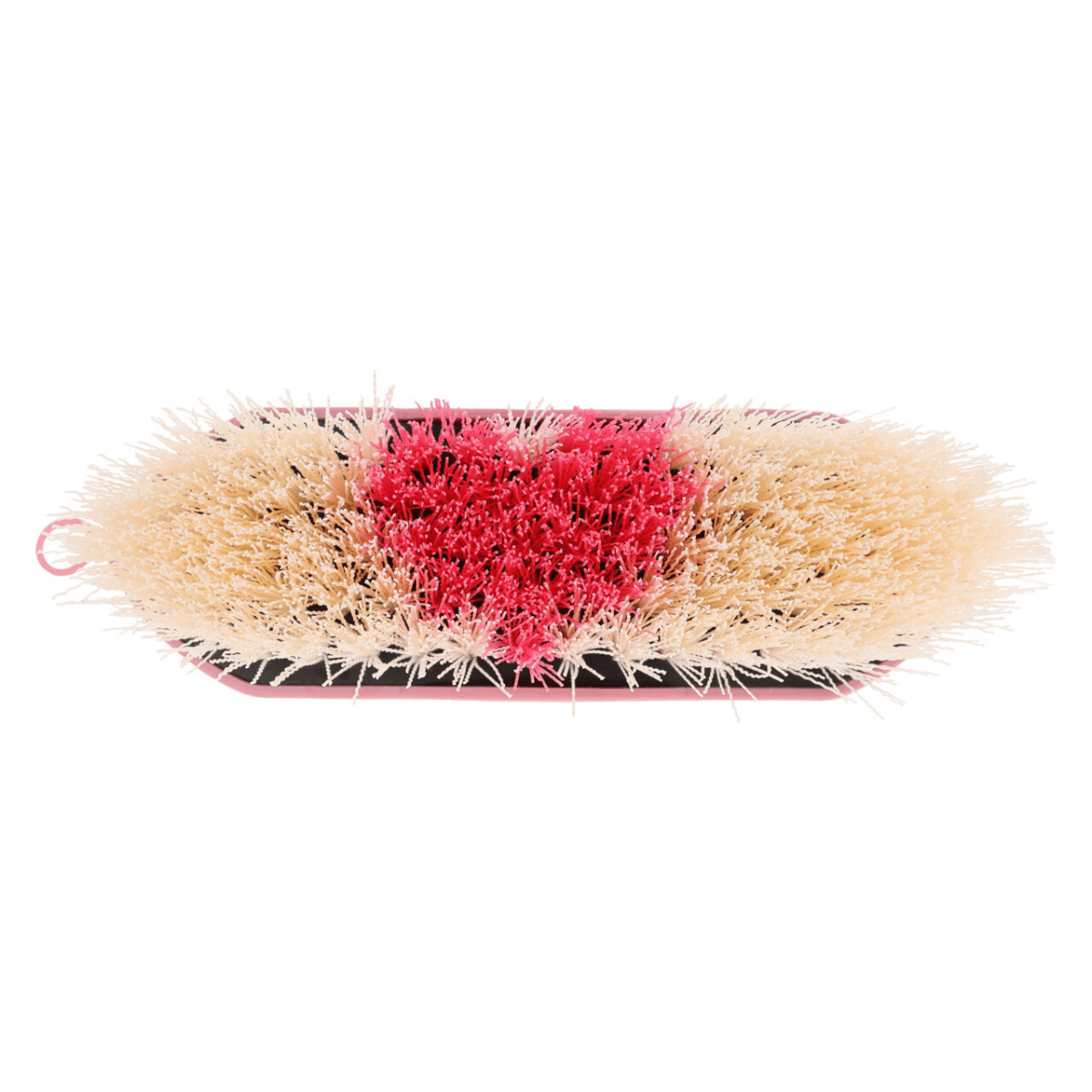 QHP Dandy brush Lyvia
