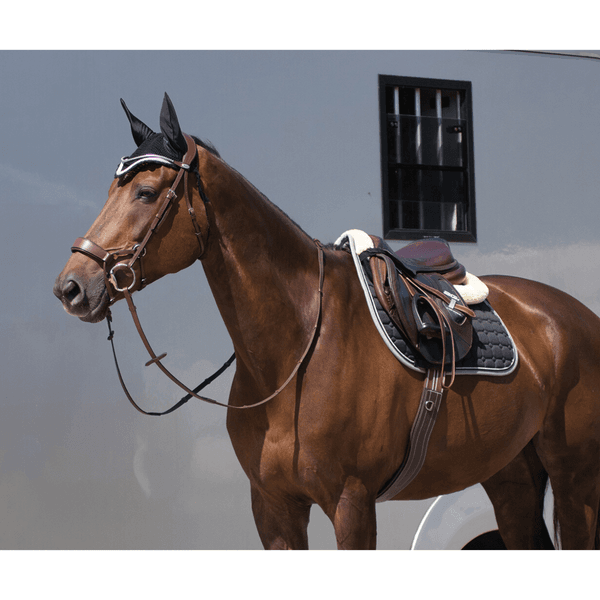 Hovedbilde QHP Girth with luxury stitching Black