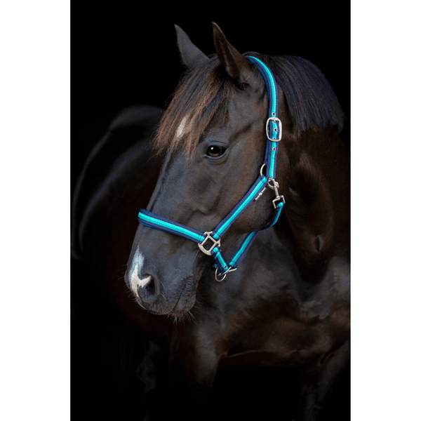 Hovedbilde Horse Guard stripet grime 