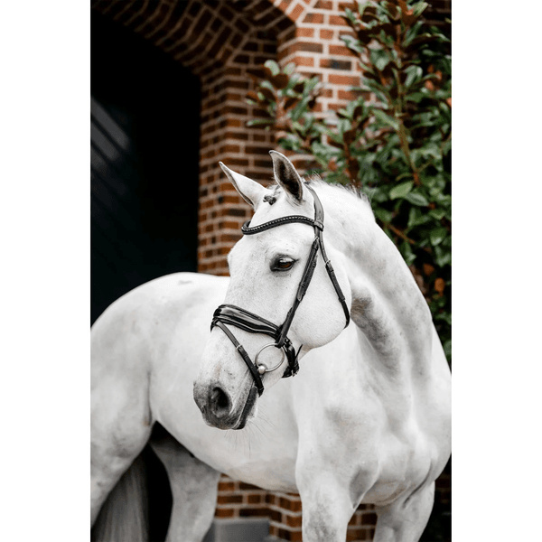 Hovedbilde Horseware Diamante Flash Bridle