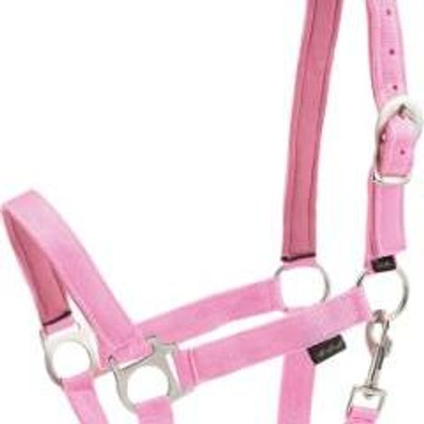 Hovedbilde HorseGuard Nylon Grime