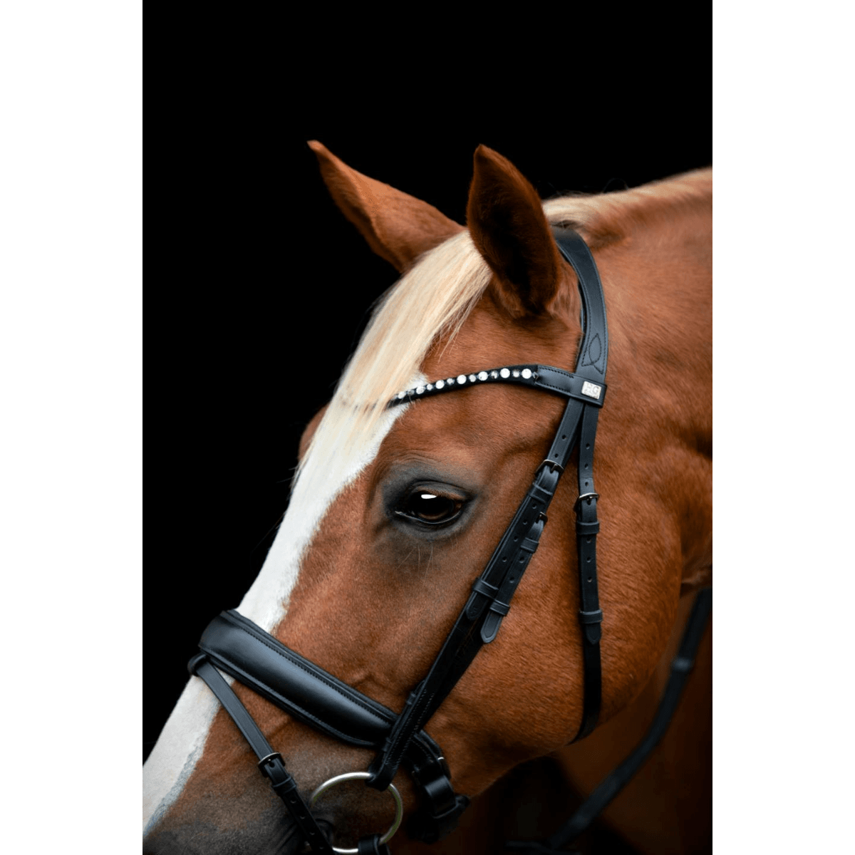 Horseguard Cryll Hodelag 
