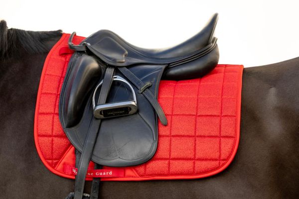 Hovedbilde HorseGuard Glitter mesh sjabrak - Dressur