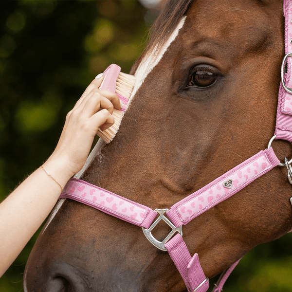 Hovedbilde QHP Head brush Lyvia