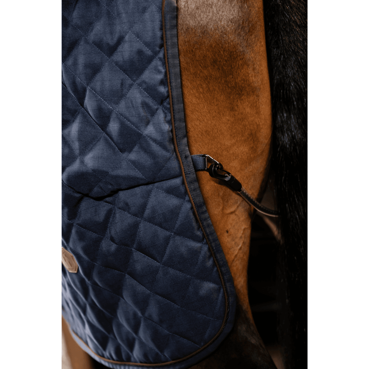Horseware Signature Stable 200g