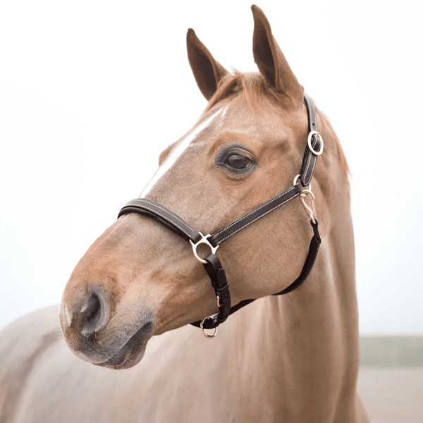 Hovedbilde Horze Largo Leather Halter