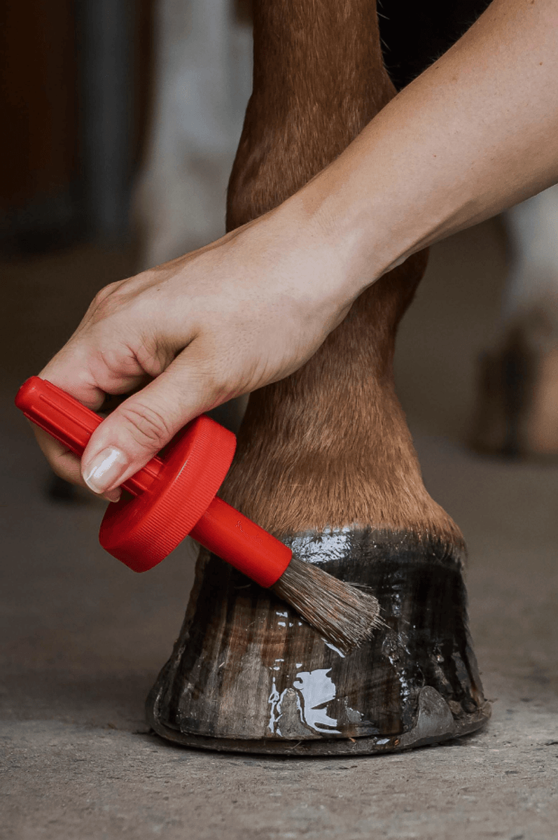 Leovet Huflab hoof oil 450ml