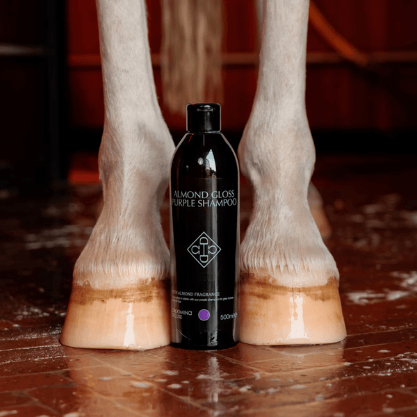 Hovedbilde Grooming Deluxe Almond Gloss Purple Shampoo