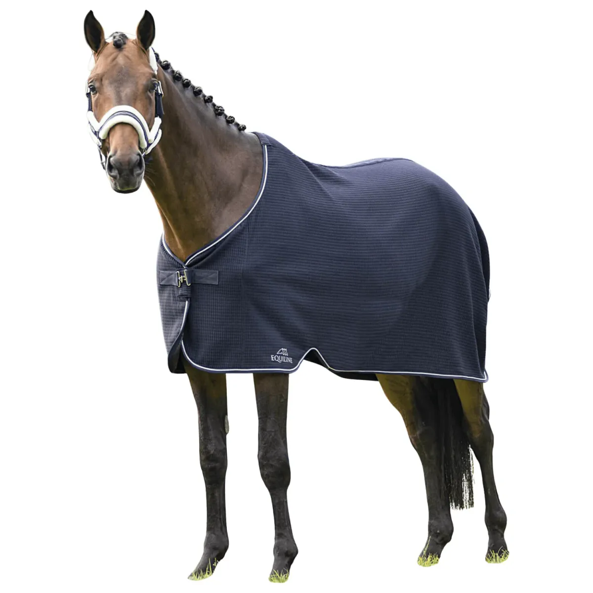 Equiline Climate Show Rug
