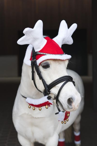 Hovedbilde HorseGuard Næse/nakkebesk.m/bjælder 2 stk