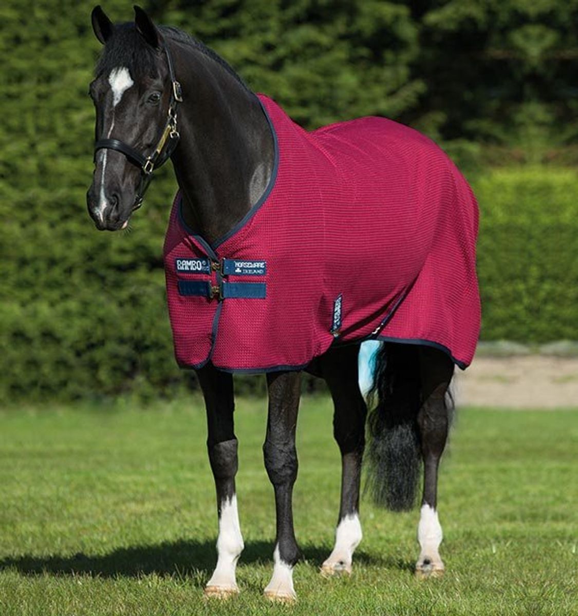 Horseware Rambo Techni Waffle Cooler