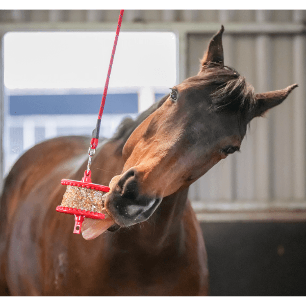 Hovedbilde Likit Refill Granola