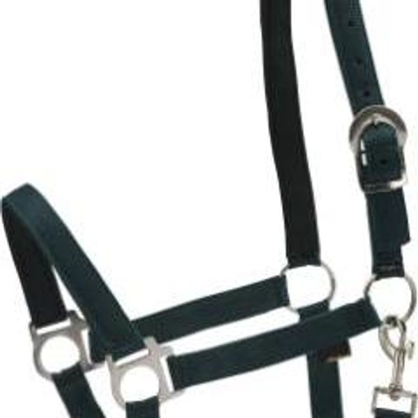 Hovedbilde HorseGuard Nylon Grime