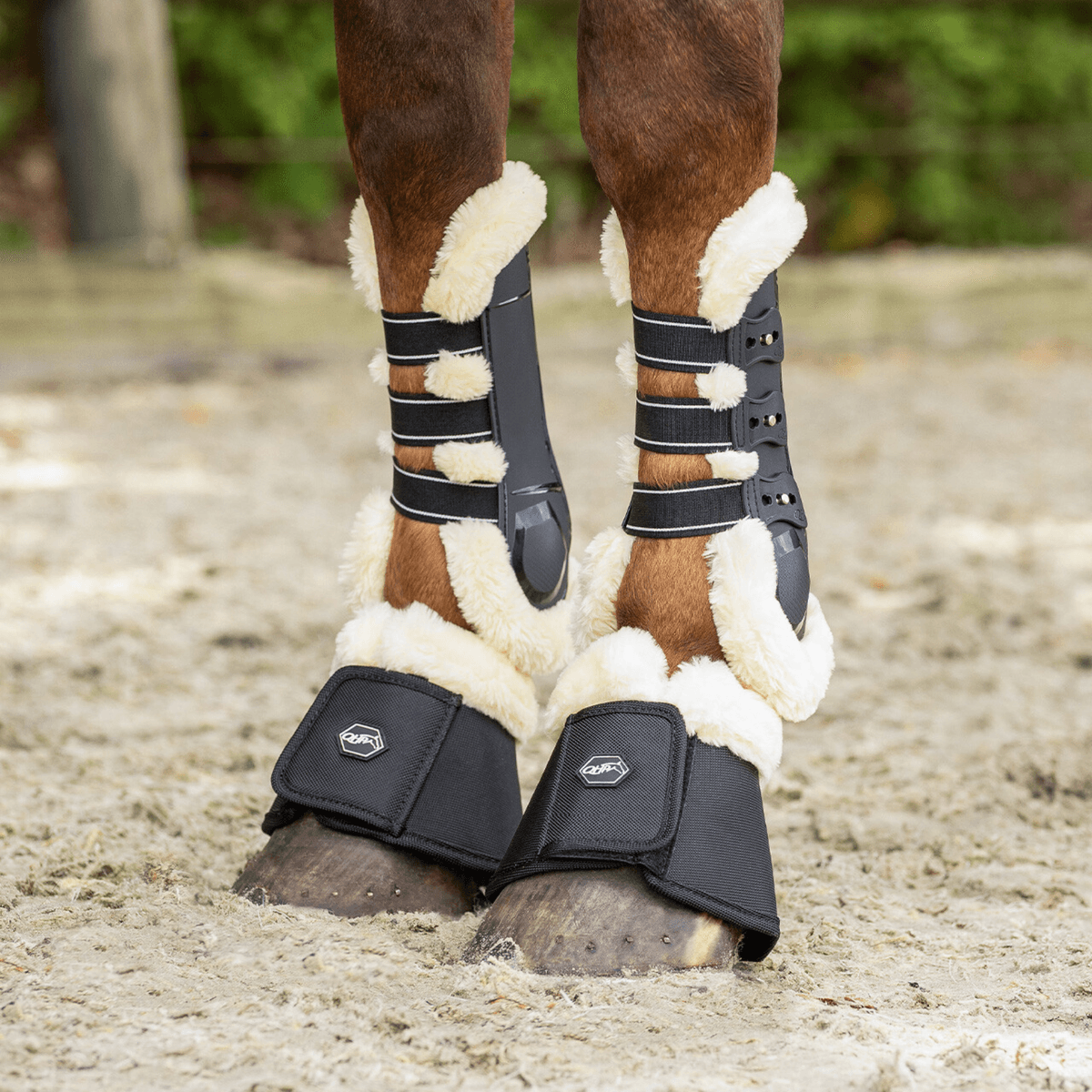 QHP Bell boots Ontario