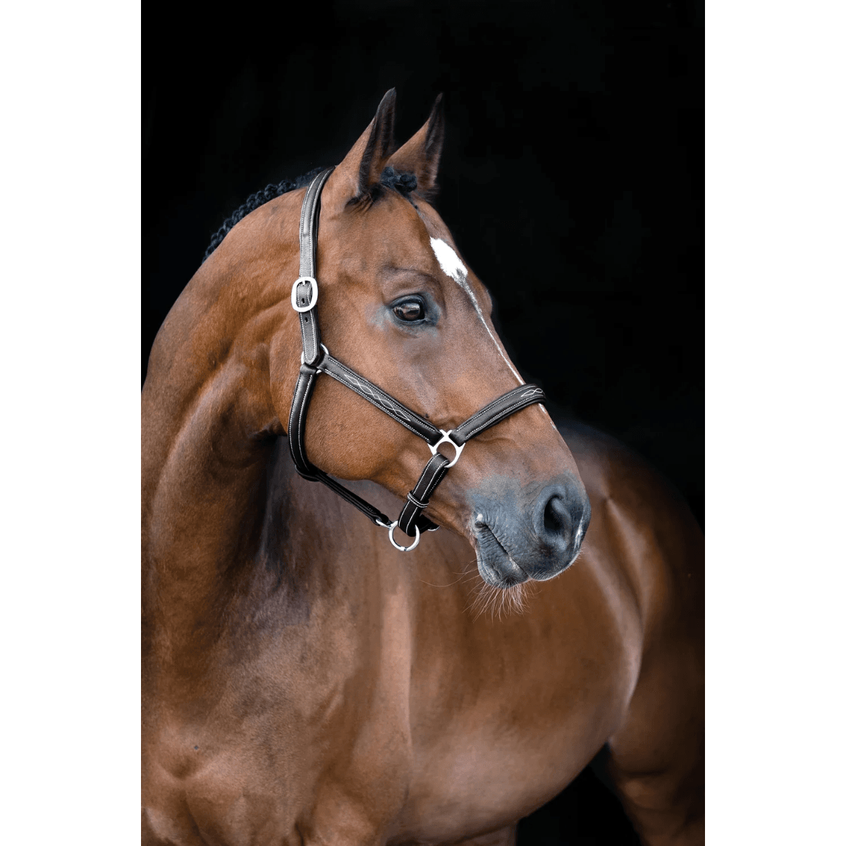 Horze Warren Soft Leather Halter