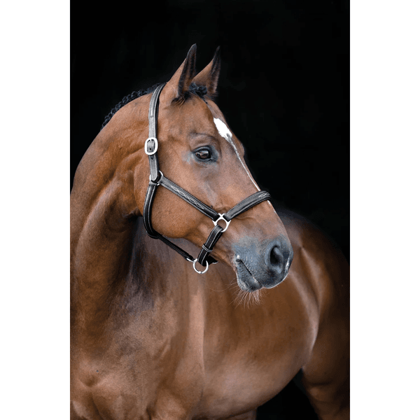 Hovedbilde Horze Warren Soft Leather Halter